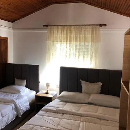 Geni * Gjirokaster